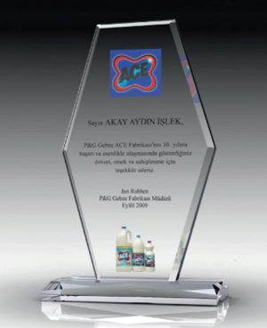 9501 - Kristal Plaket