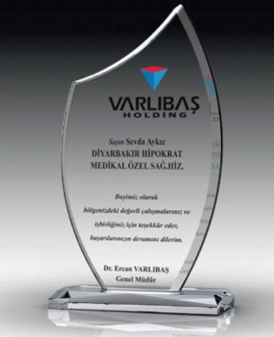 9508 - Kristal Plaket